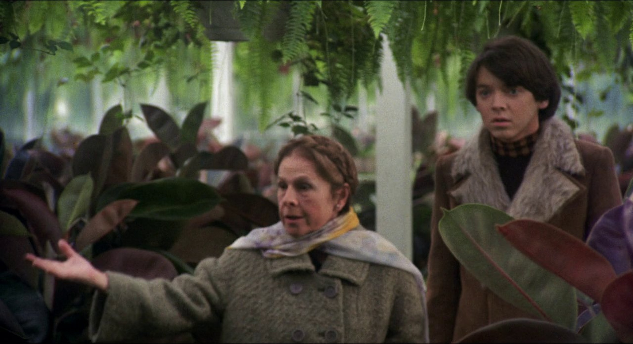 Harold and Maude Harold and Maude