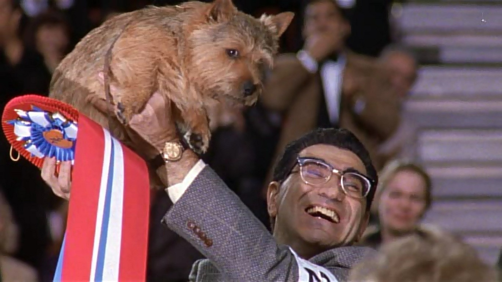 Best in Show Best in Show