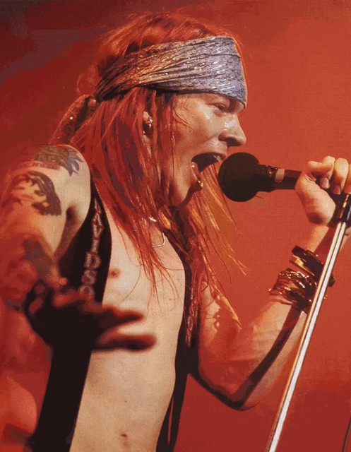Picture of Axl Rose