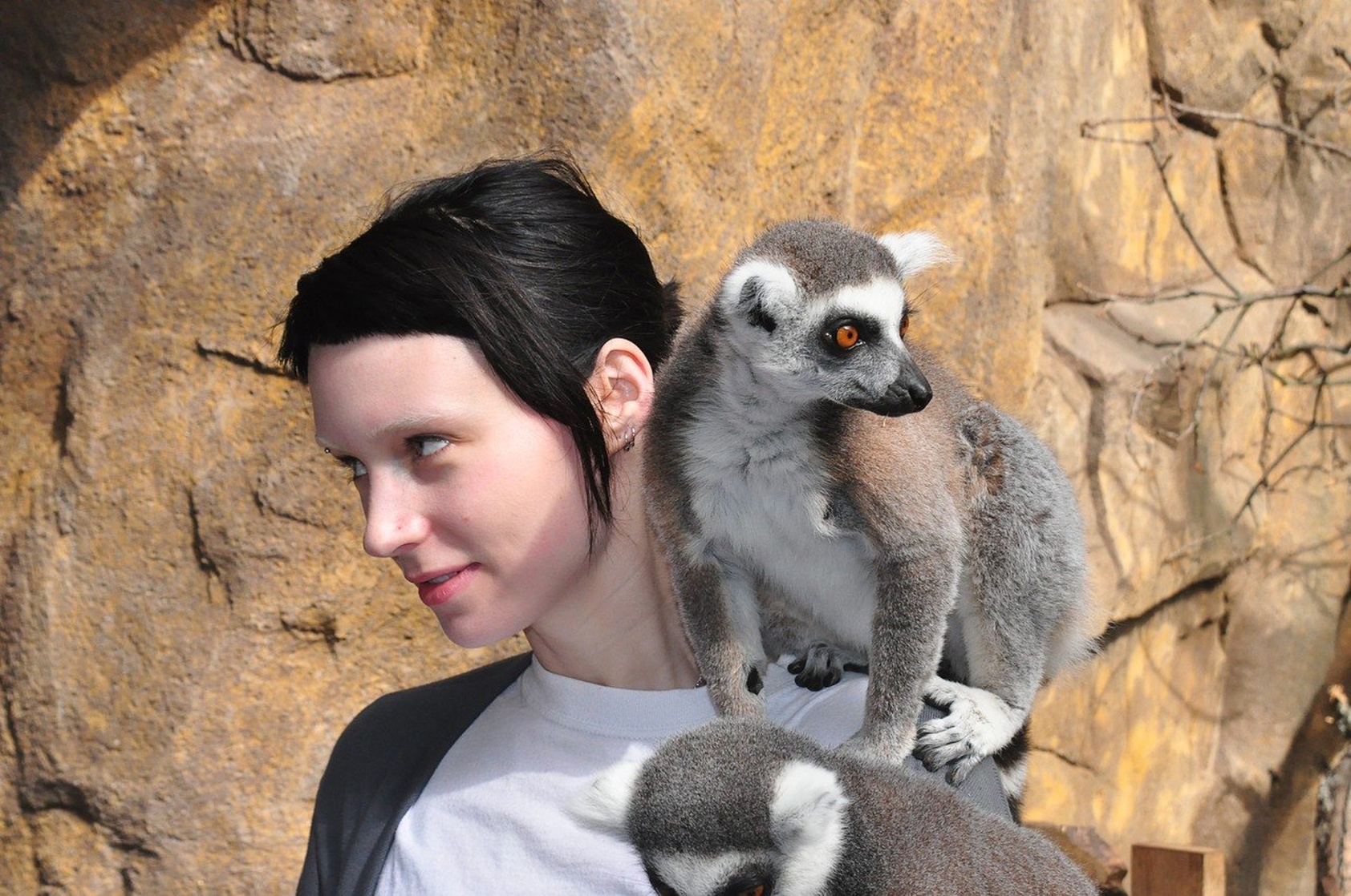 Rooney Mara Rooney Mara