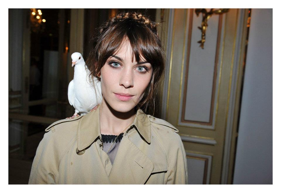 Picture of Alexa Chung