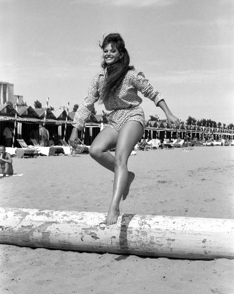 Sophia Loren main image 0