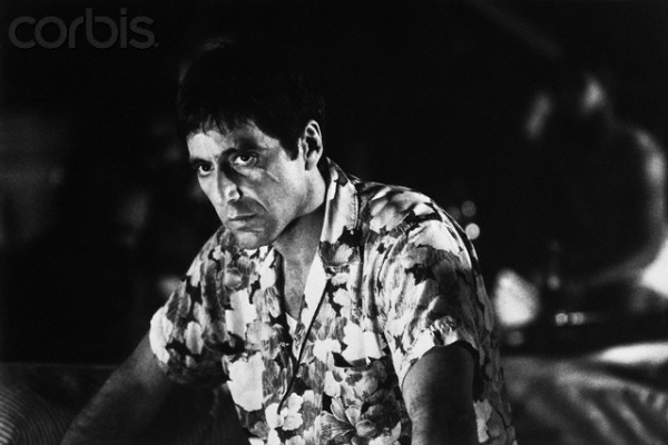 Picture of Scarface