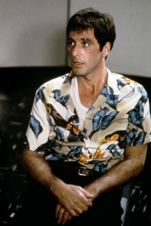 Picture of Scarface