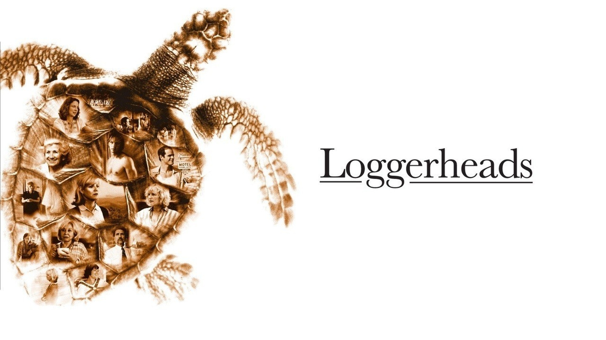 Loggerheads