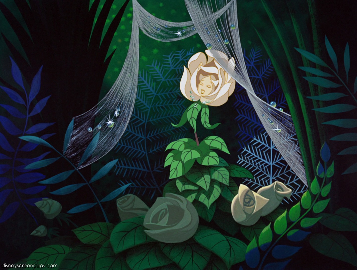 Alice in Wonderland