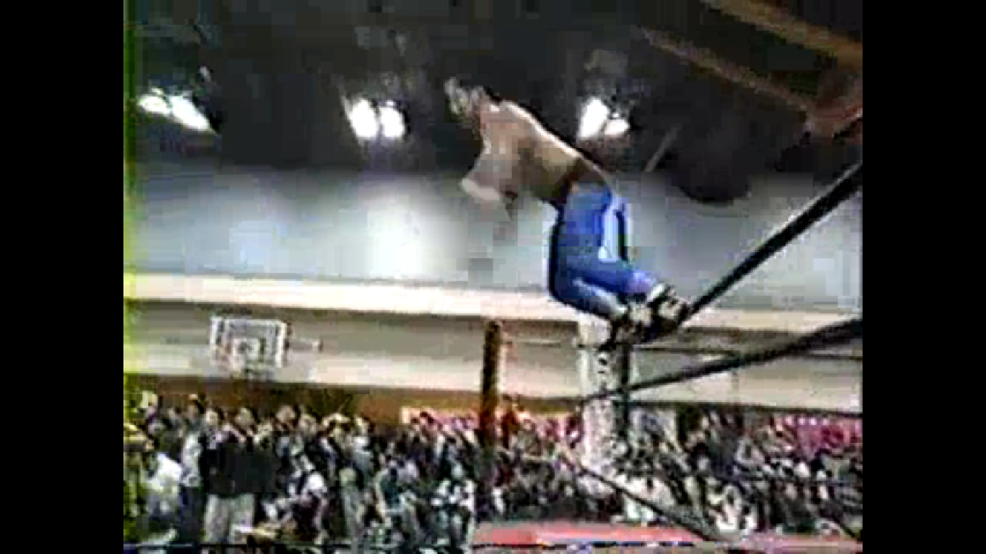 Hayabusa Vs TAKA Michinoku Image