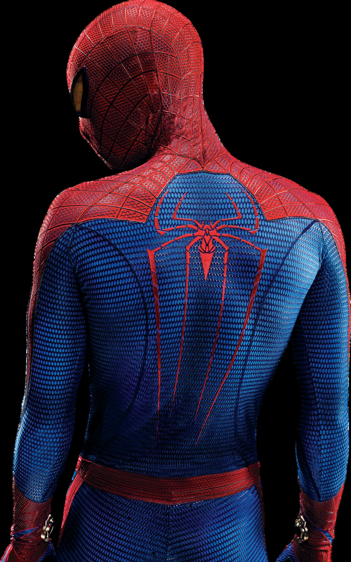 Picture Of The Amazing Spider Man