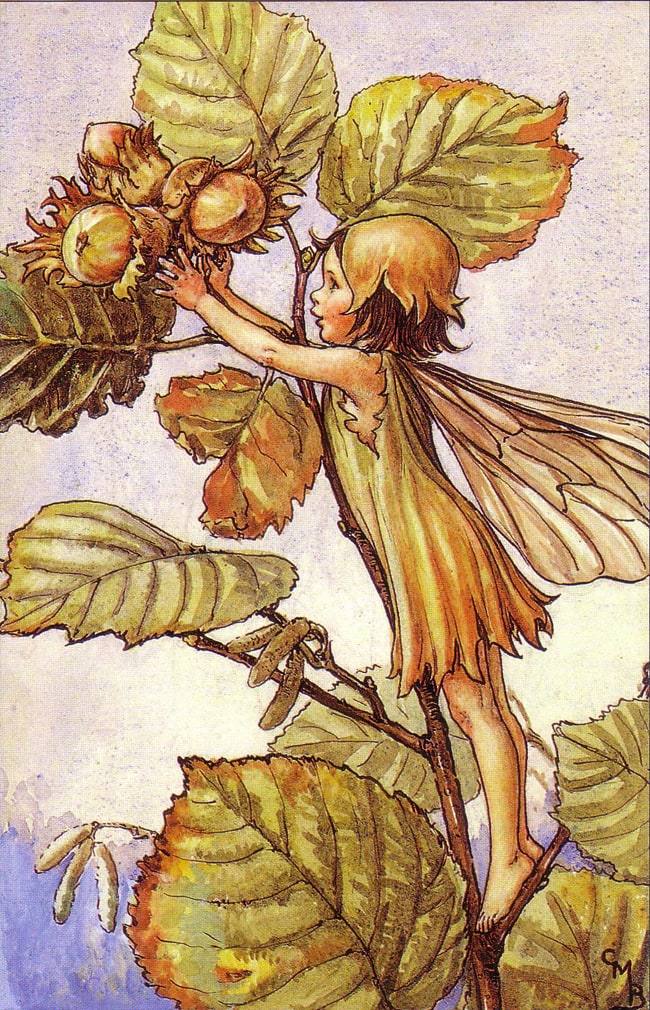 cicely-mary-barker-image