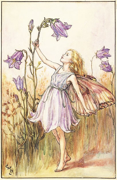 Cicely Mary Barker image