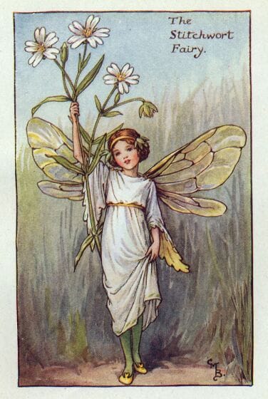 picture-of-cicely-mary-barker
