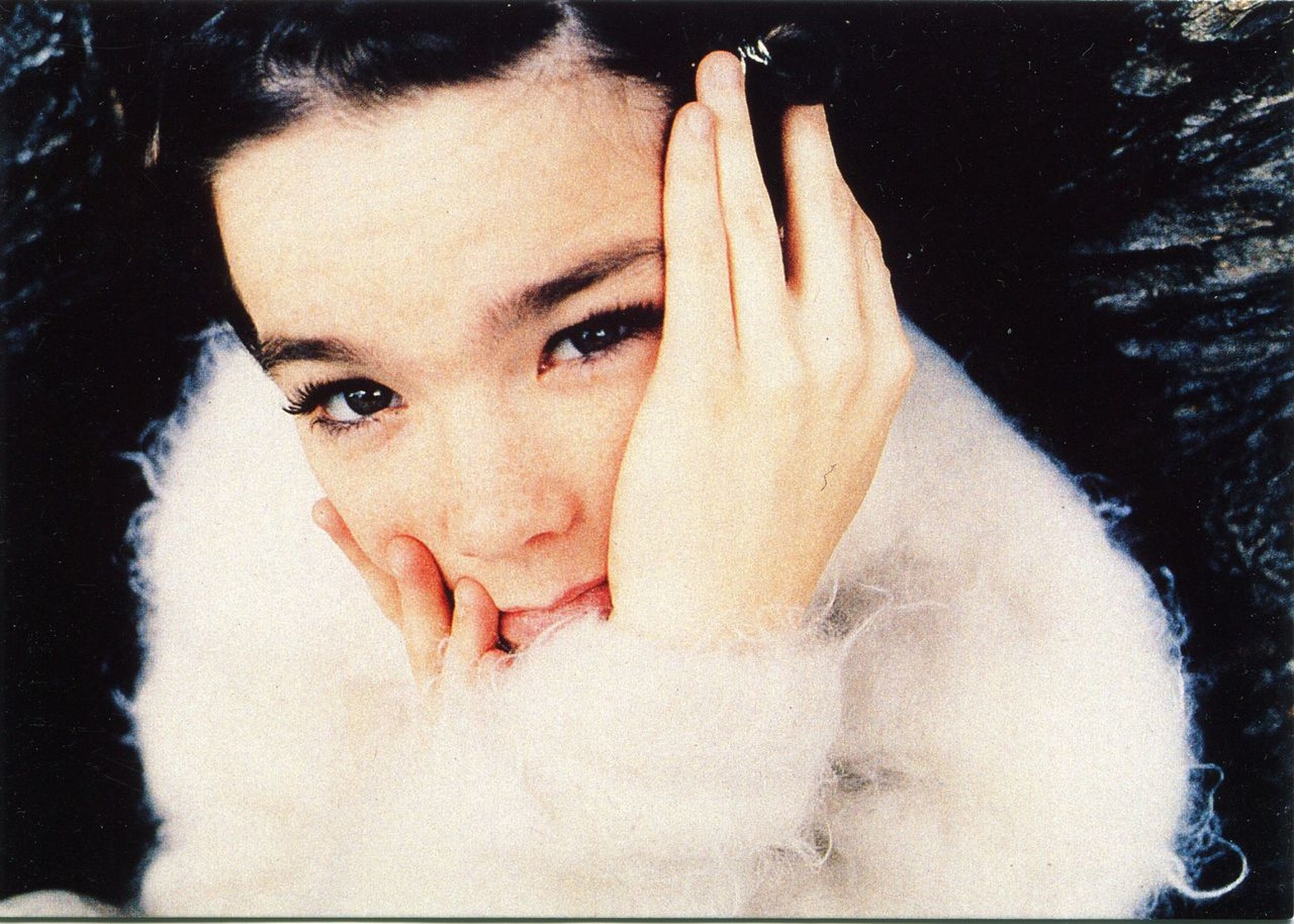 Björk Björk