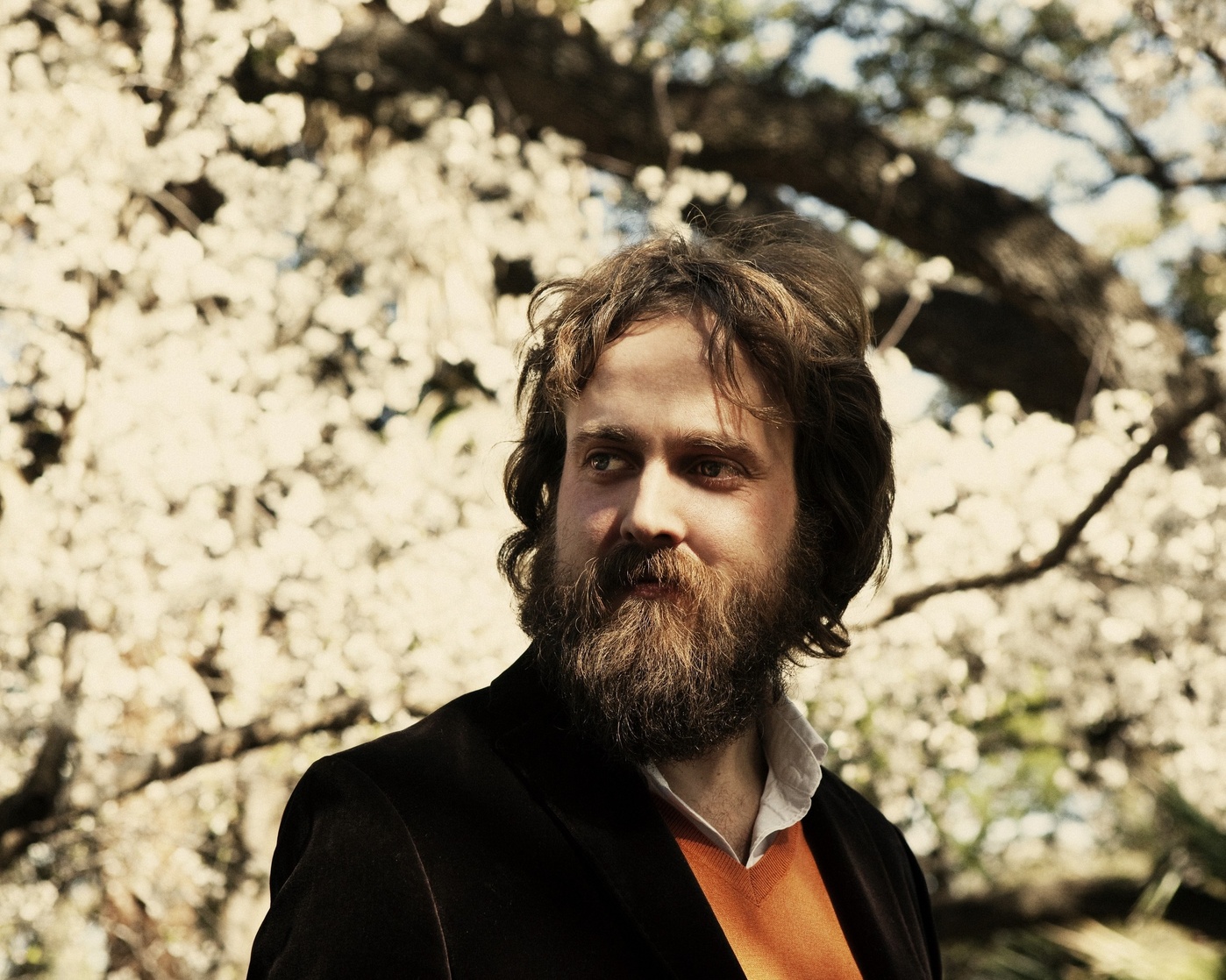 Picture of Iron and Wine