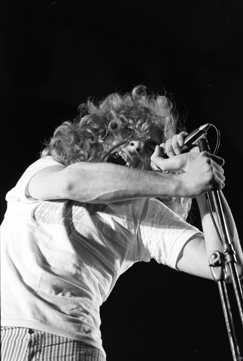 Robert Plant Image