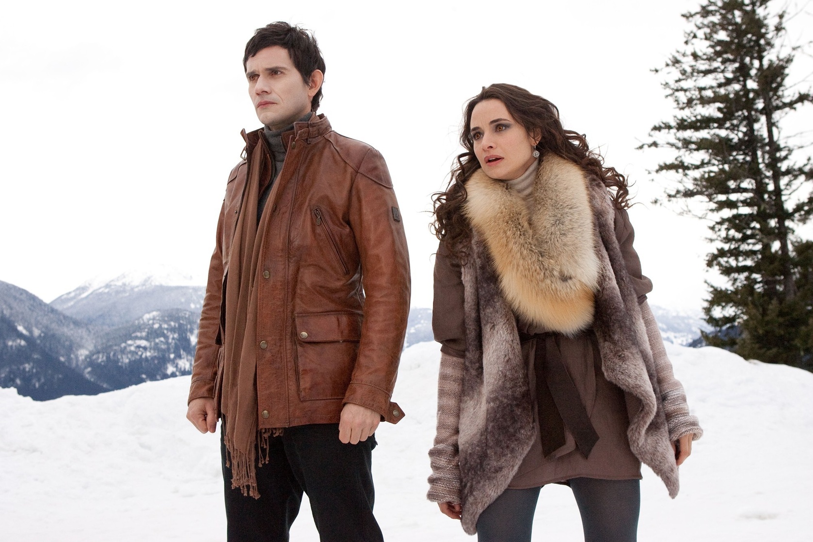 The Twilight Saga: Breaking Dawn: Part 2 The Twilight Saga: Breaking Dawn: Part 2