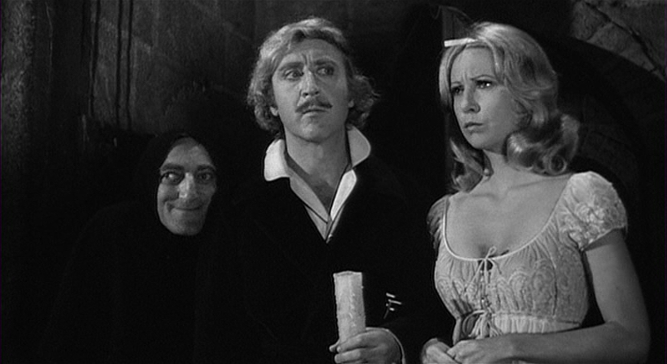 Picture of Young Frankenstein (1974)