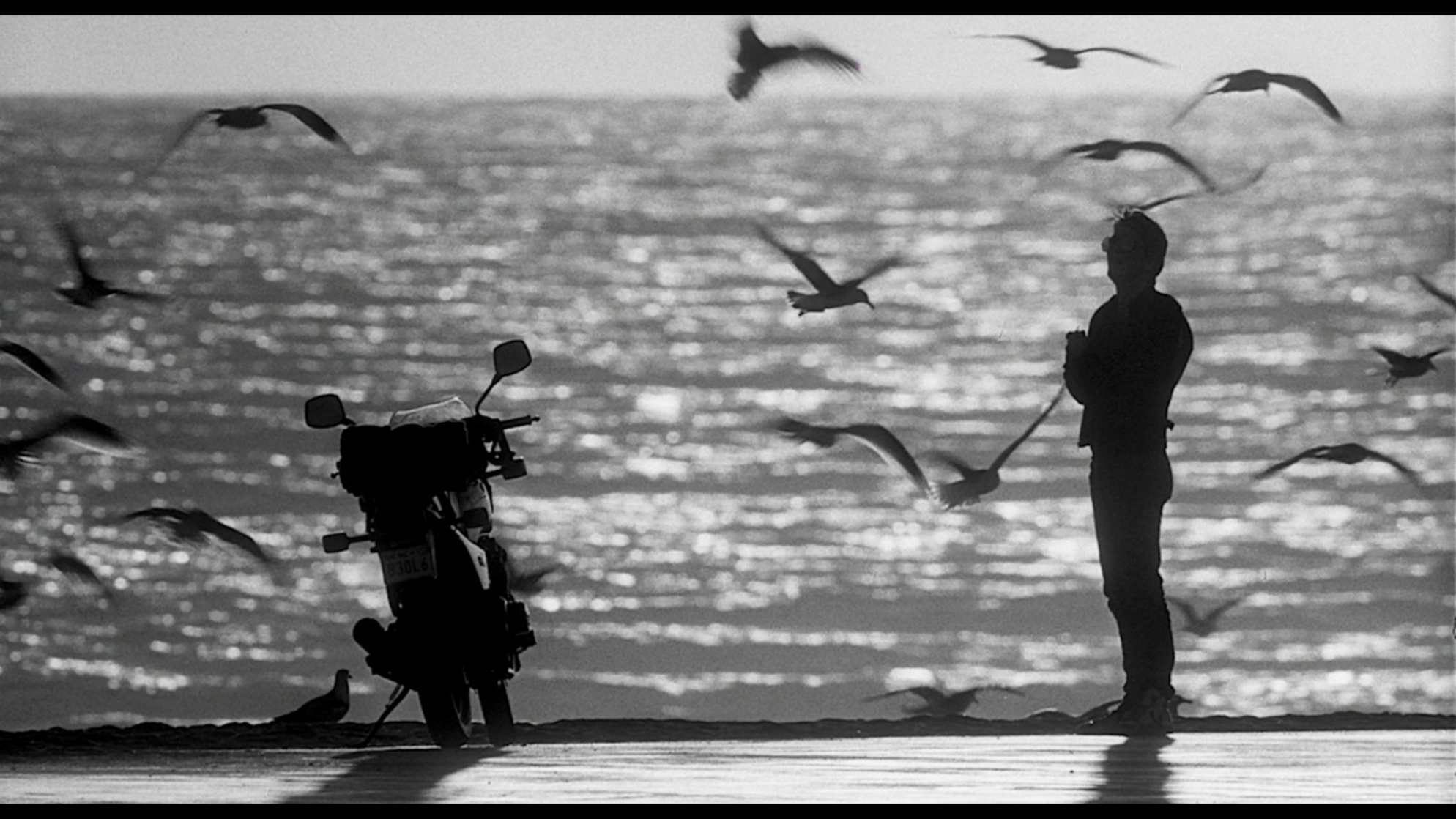 Picture of Rumble Fish (1983)