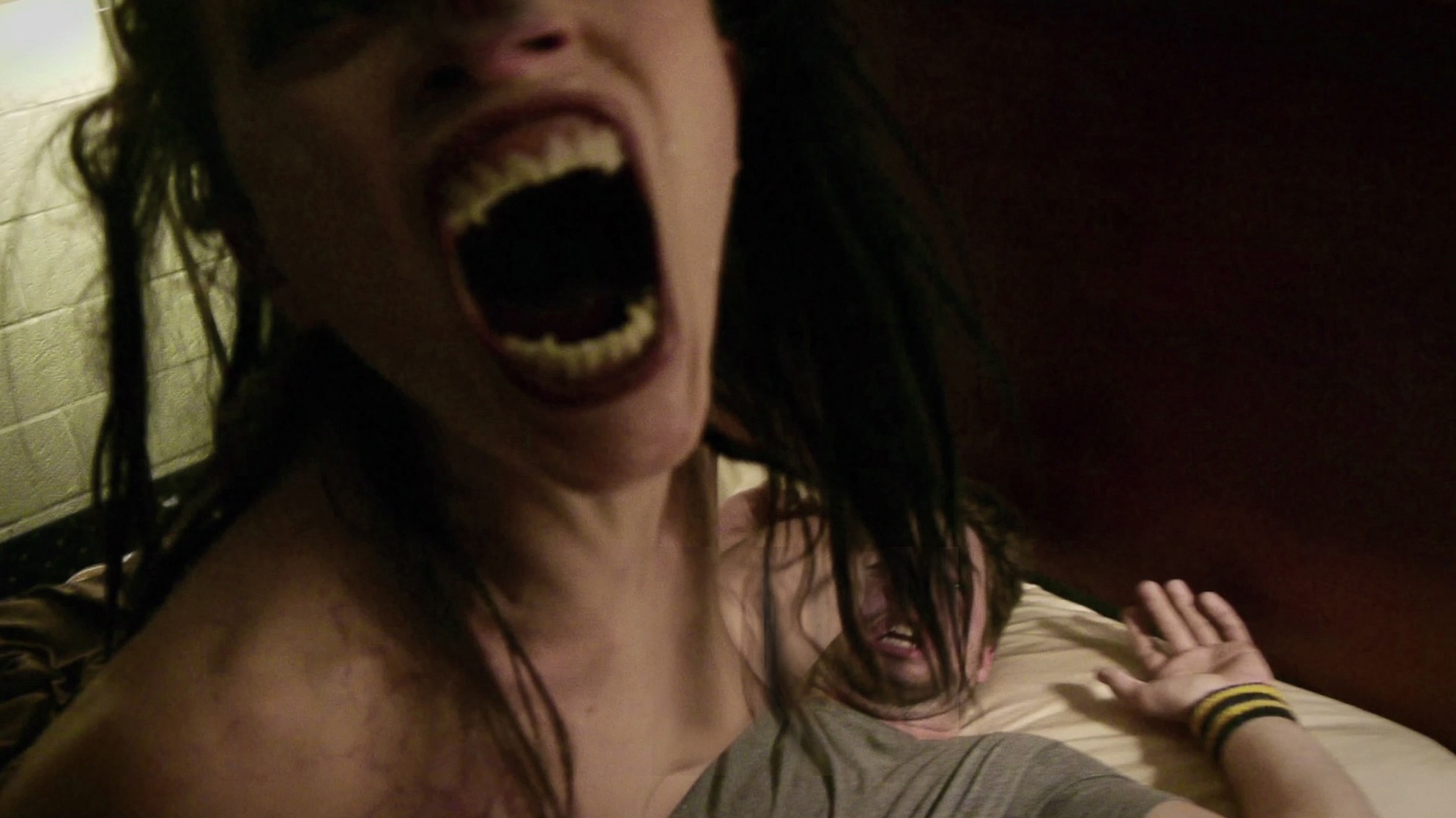V/H/S V/H/S
