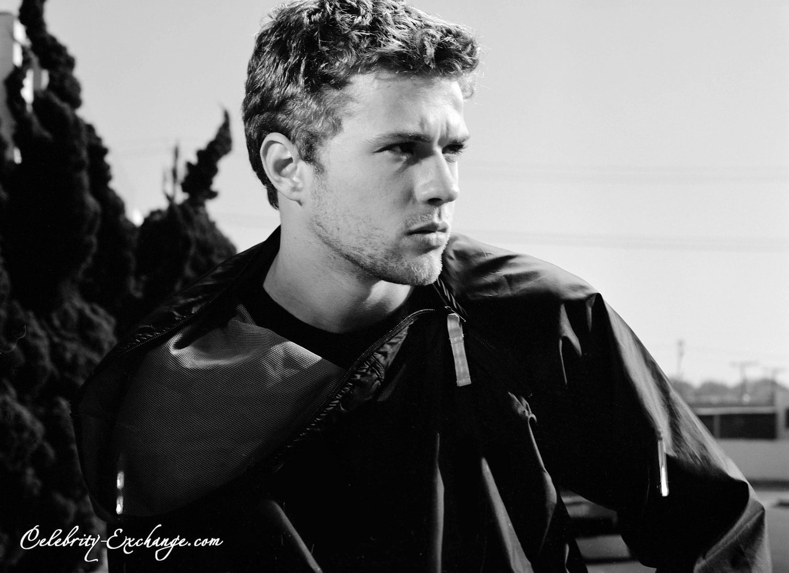 Ryan Phillippe picture