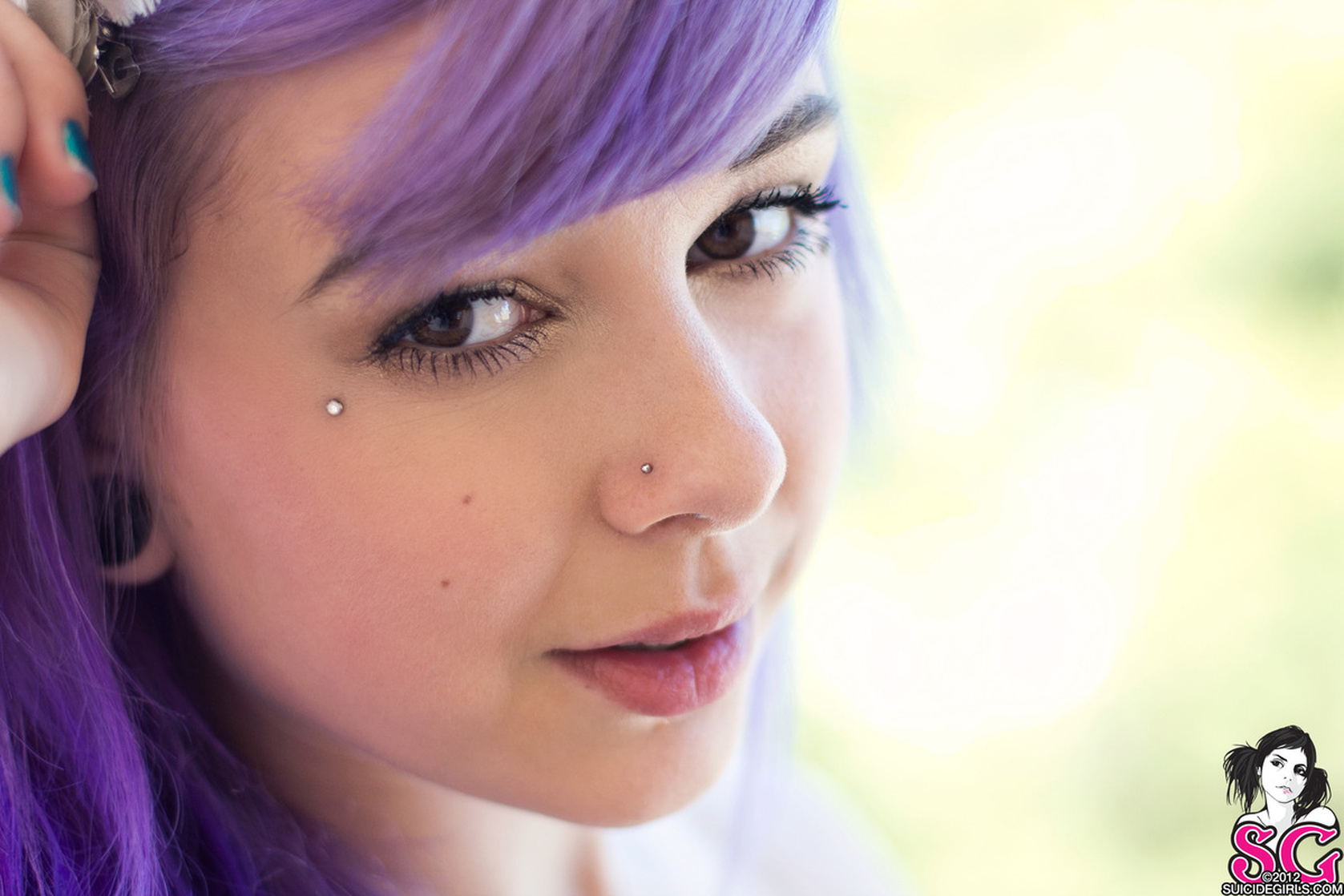 Plum Suicide