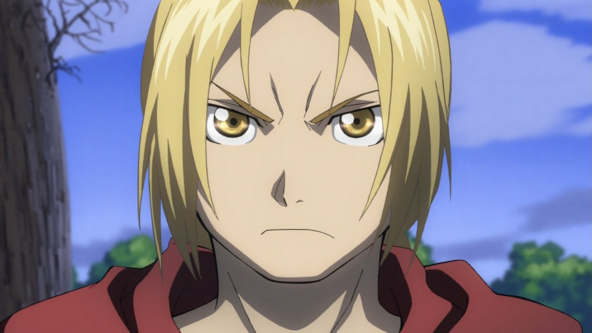 Fullmetal Alchemist: Brotherhood