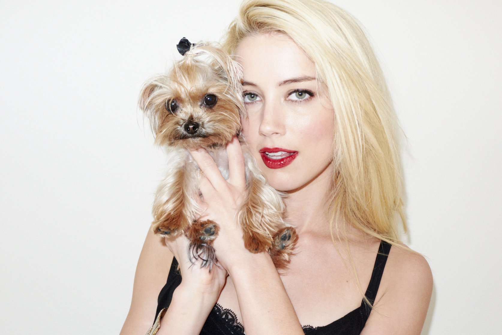Amber Heard Amber Heard