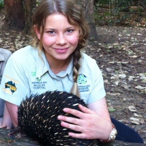 Picture of Bindi Irwin