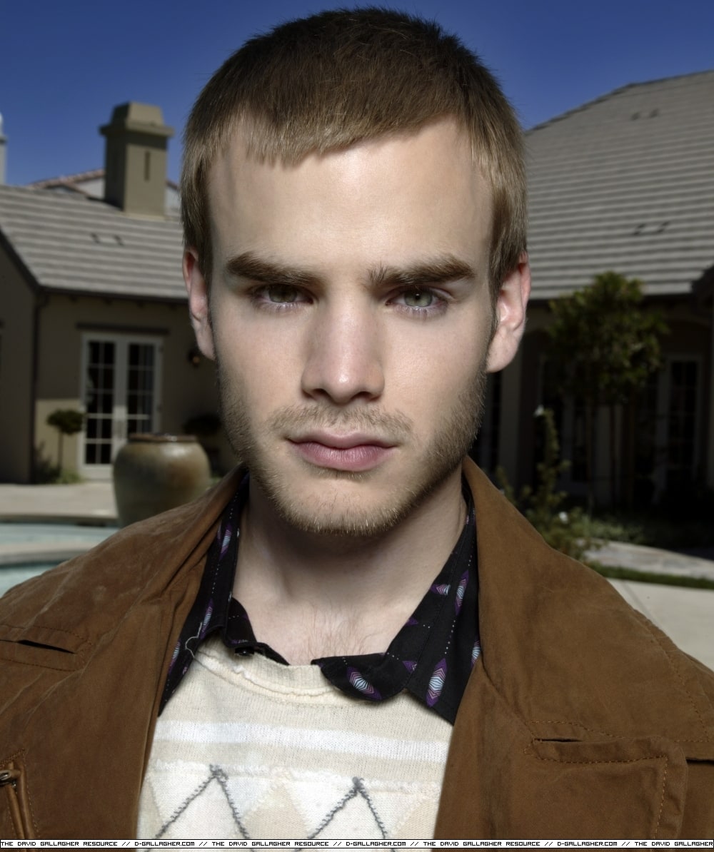 Picture Of David Gallagher.