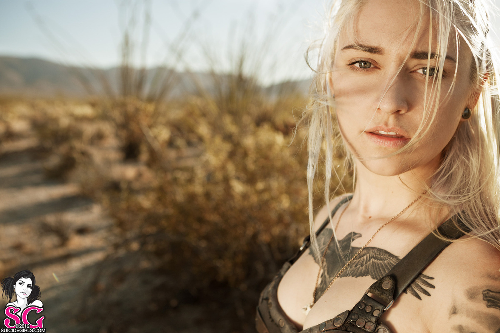 Venom Suicide