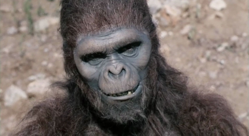 Schlock (1973) Schlock (1973)