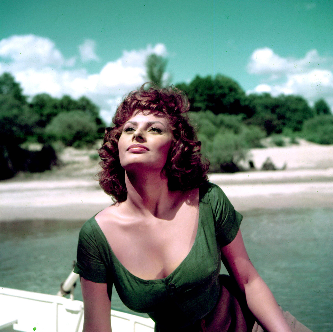 Sophia Loren Sophia Loren