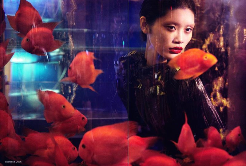 Ming Xi Ming Xi