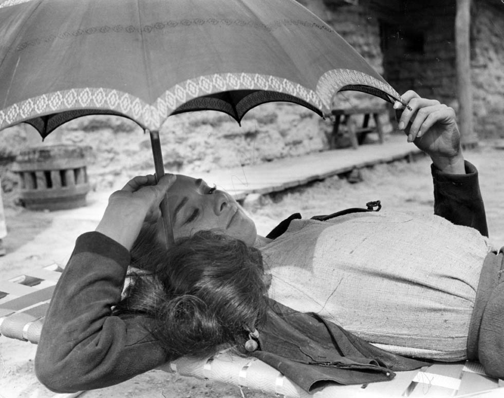 Audrey Hepburn Audrey Hepburn