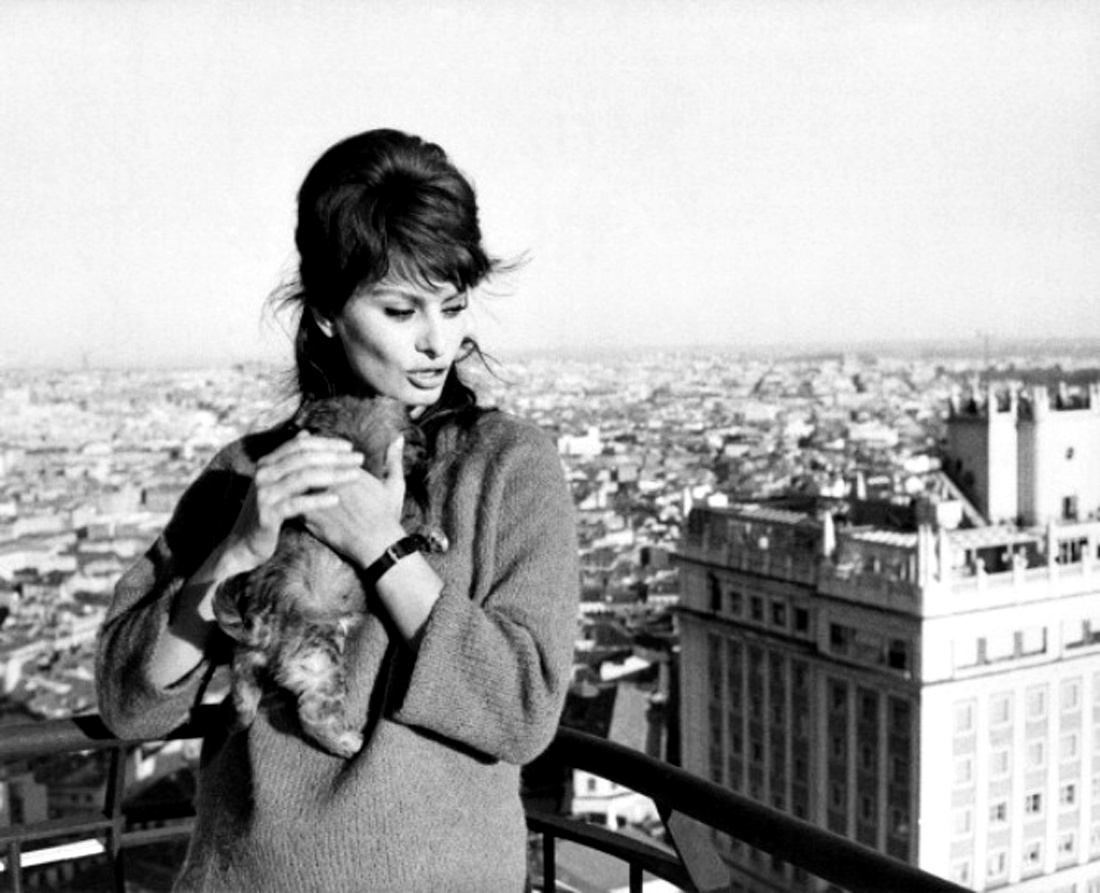 Sophia Loren