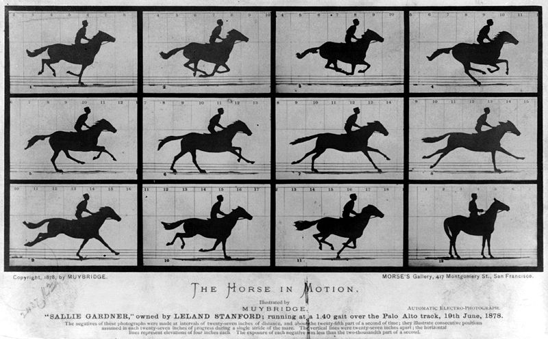 Sallie Gardner at a Gallop