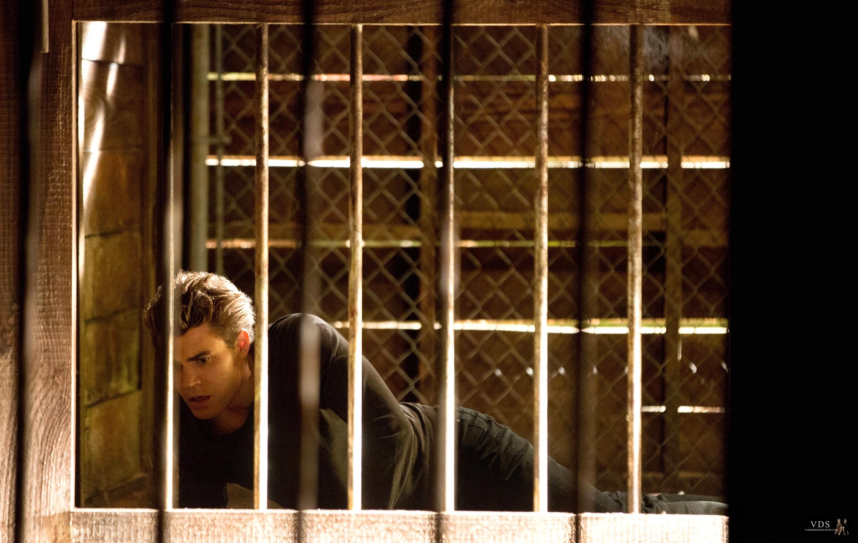 The Vampire Diaries