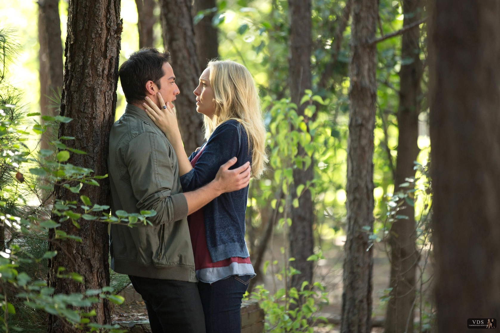 The Vampire Diaries The Vampire Diaries