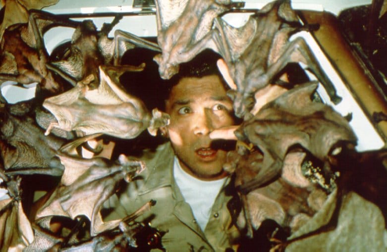 Bats Bats
