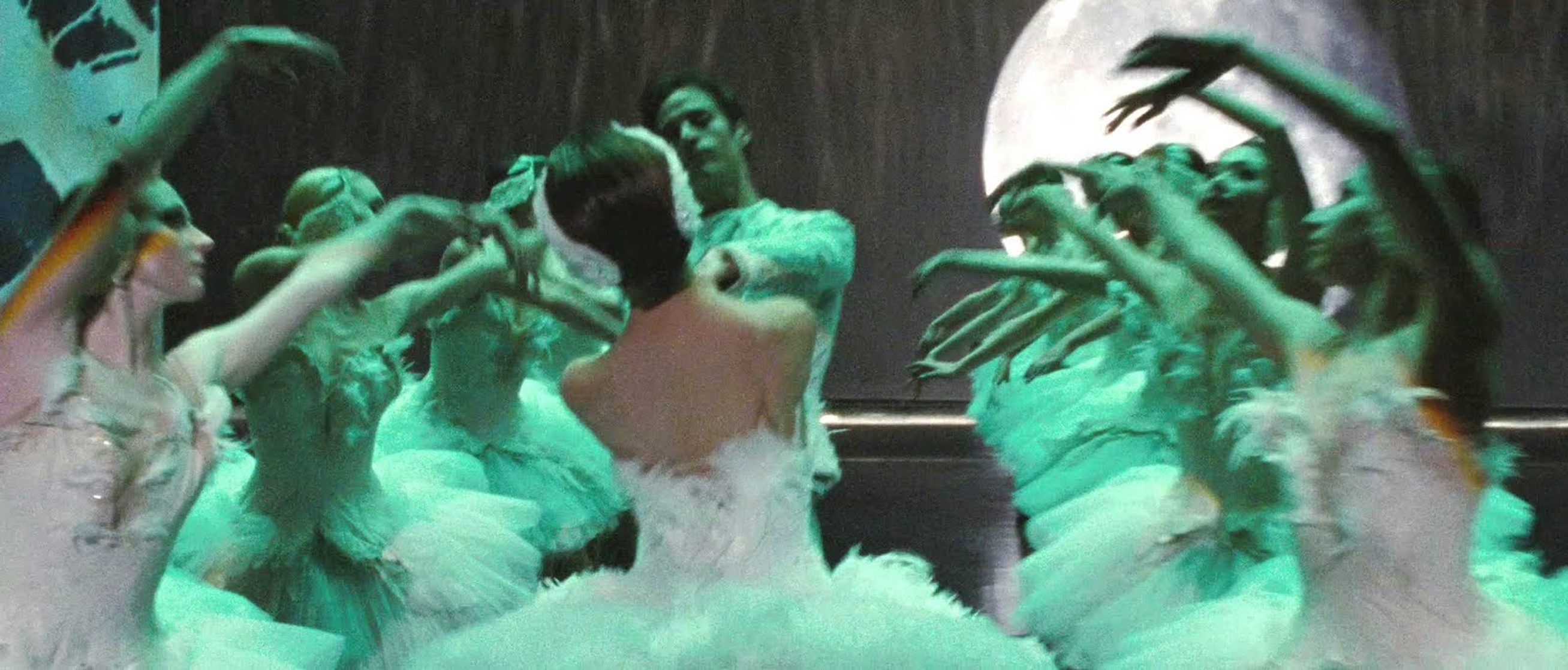 Black Swan Black Swan