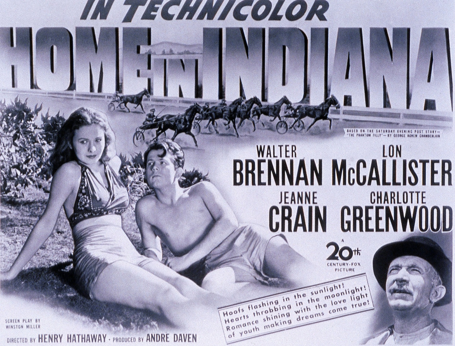 Home in Indiana picture