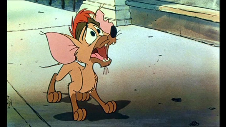 Oliver & Company