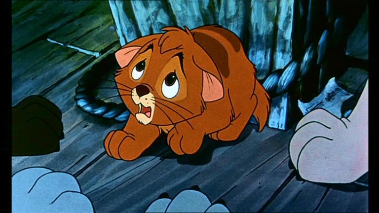 Oliver & Company