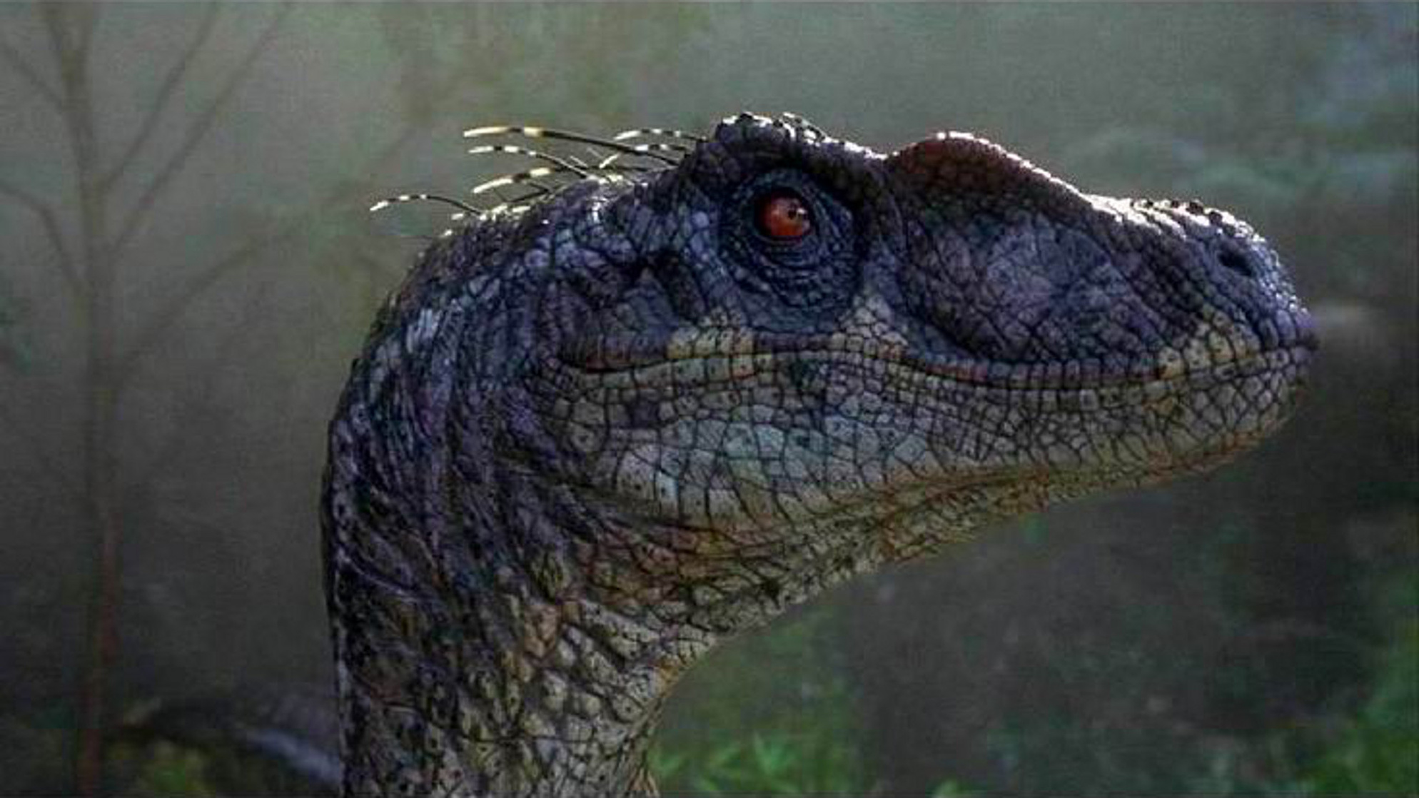 Jurassic Park III Jurassic Park III