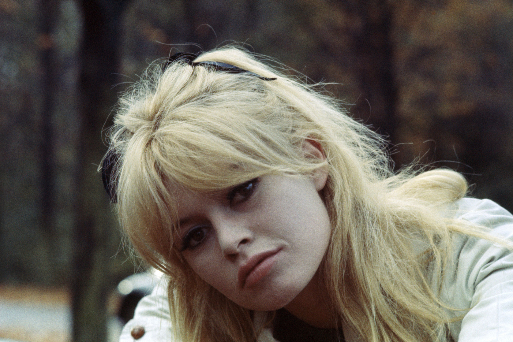 Brigitte Bardot Brigitte Bardot