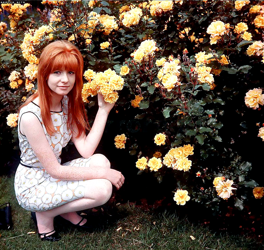 Jane Asher Jane Asher