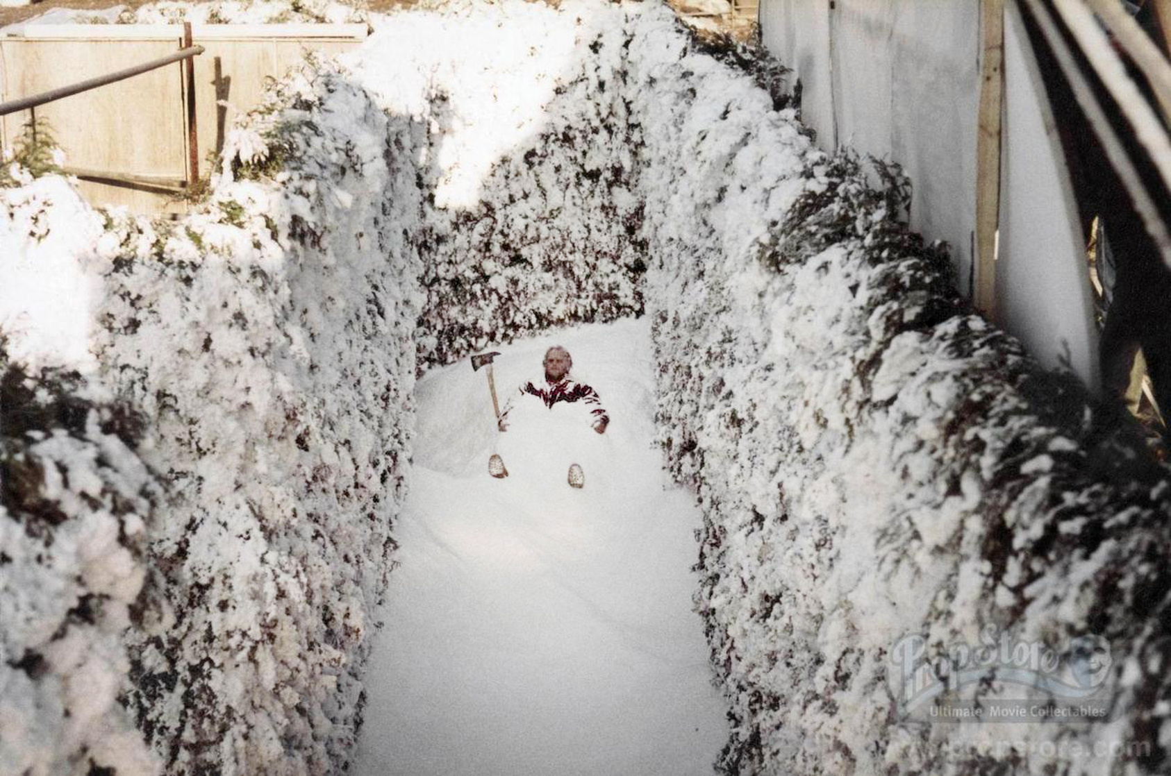 The Shining