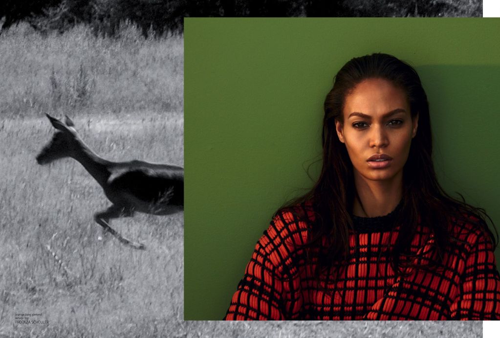 Joan Smalls