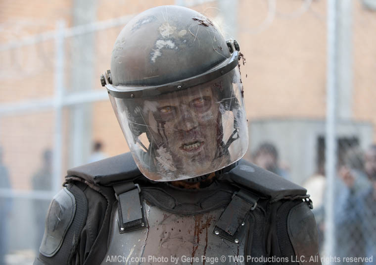 The Walking Dead The Walking Dead