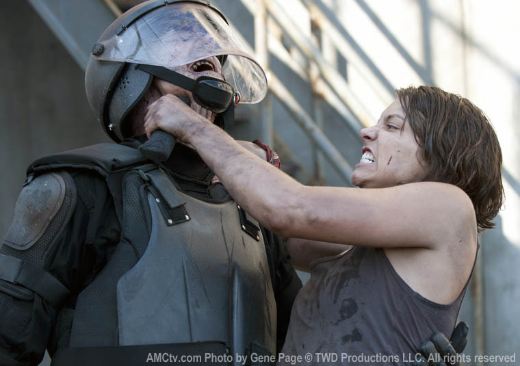 The Walking Dead The Walking Dead
