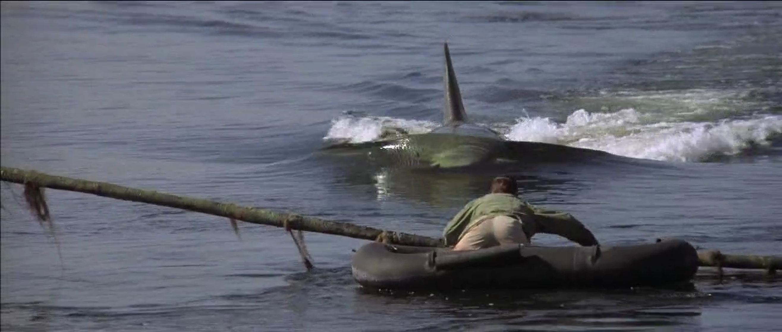 Jaws 2